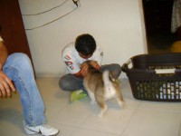 /album/madu-corp/a27247-380874519901-8052546-n-jpg/