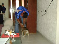 /album/madu-corp/a27247-380874564901-4997350-n-jpg/