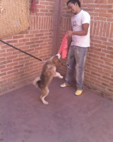 /album/madu-corp/a31292-1475408450877-7815524-n-jpg/